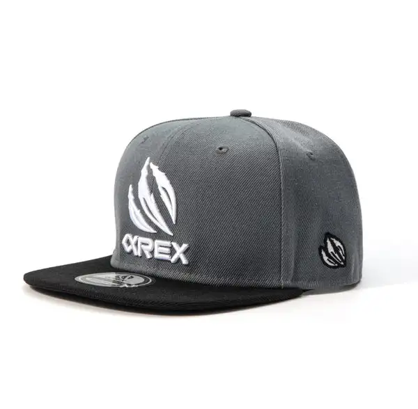 AlphaRex Embroidered Snapback Grey