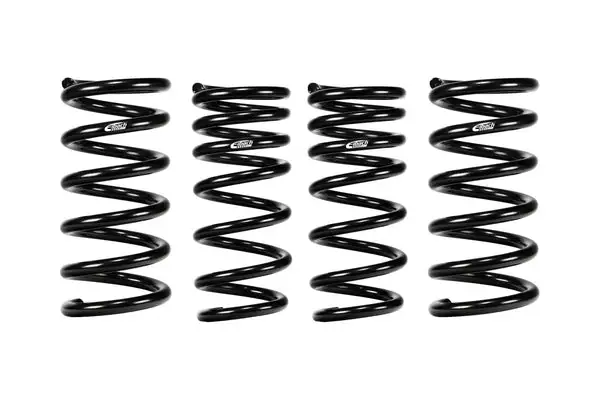 Eibach 23-24 Nissan Z 3.0L / 6 Cyl. Twin Turbo RWD RZ34 - Pro-Kit -(Set of 4) (E10-63-048-01-22)